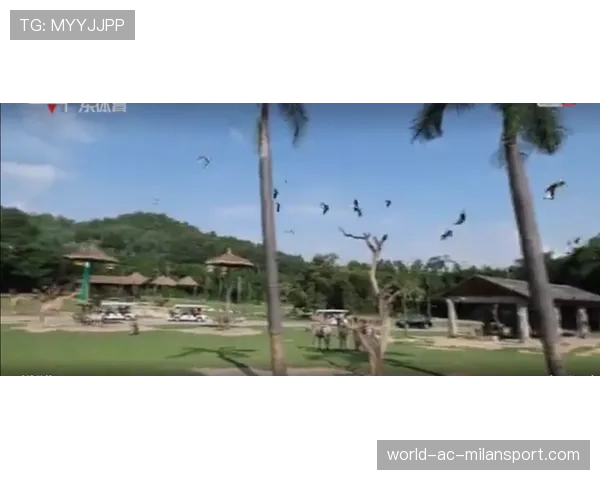 全红婵动态：在成都训练间隙被拍到去熊猫基地看熊猫，并笑称“熊猫比我更会跳”。